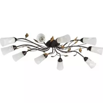 Люстра MW-Light 242015410