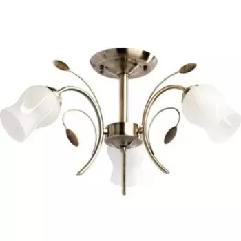 Люстра MW-Light 256018103