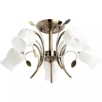 Люстра MW-Light 256018205