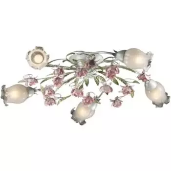 Люстра Odeon Light 2252/5C