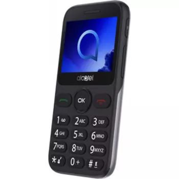 Мобильный телефон Alcatel 2019G серебристый