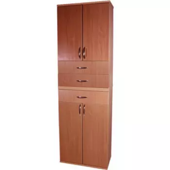 Модульная система Шарм-Дизайн Макси VM-25 вишня оксфорд