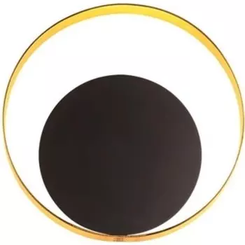 Настенный светодиодный светильник Odeon Light 3899/7WB