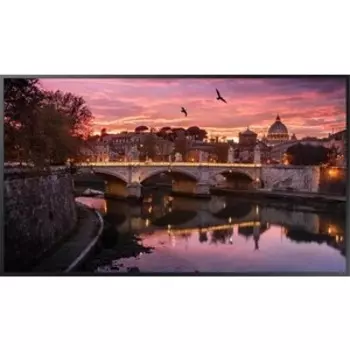 Панель Samsung 55'' QB55B черный VA LED 8ms 16:9 DVI HDMI M/M матовая 350cd 178гр/178гр 3840x2160 DP RCA 4K USB 18.1кг (RUS)