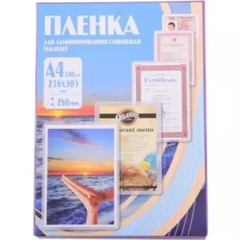 Пленка для ламинирования Office Kit 250мкм A4 (100шт) глянцевая 216х303мм Office Kit (PLP12123-1)