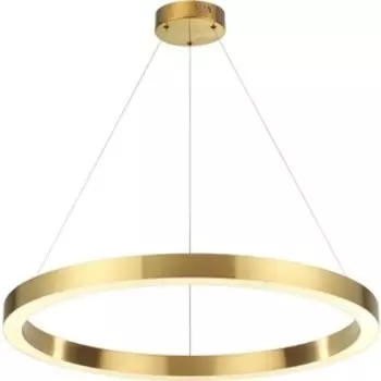 Подвесной светодиодный светильник Odeon Light 3885/45LG