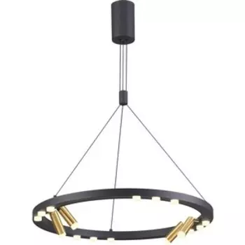 Подвесной светодиодный светильник Odeon Light 3918/48L