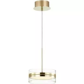 Подвесной светодиодный светильник Odeon Light 4729/14L