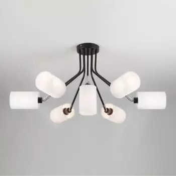 Потолочная люстра Eurosvet 70072/7 белый