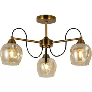 Потолочная люстра Evoluce SLE110002-03