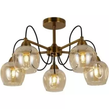 Потолочная люстра Evoluce SLE110002-05