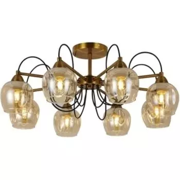 Потолочная люстра Evoluce SLE110002-08