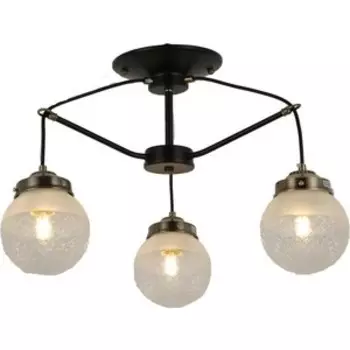 Потолочная люстра Evoluce SLE110302-03