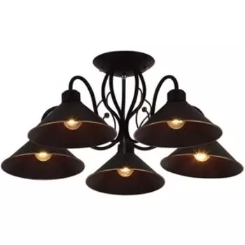 Потолочная люстра Evoluce SLE120402-05