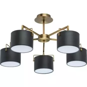 Потолочная люстра MW-Light 721010205