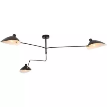 Потолочная люстра ST-Luce SL305.402.03