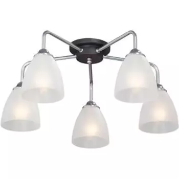 Потолочная люстра Vitaluce V4500-9/5PL