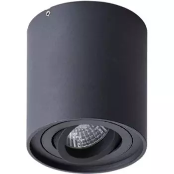Потолочный светильник Arte Lamp A1460PL-1BK