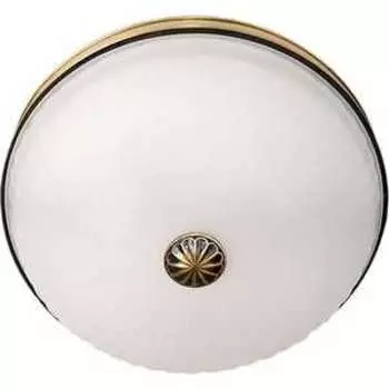 Потолочный светильник MW-Light 295013402