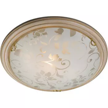 Потолочный светильник Sonex 256