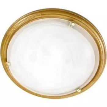 Потолочный светильник Sonex 259