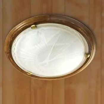 Потолочный светильник Sonex 336