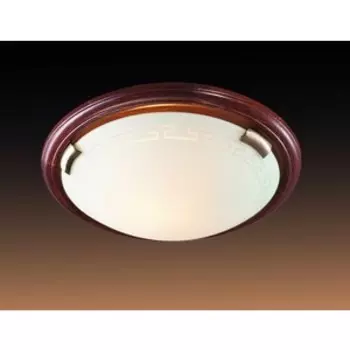 Потолочный светильник Sonex 360