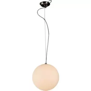 Потолочный светильник ST-Luce SL290.503.01
