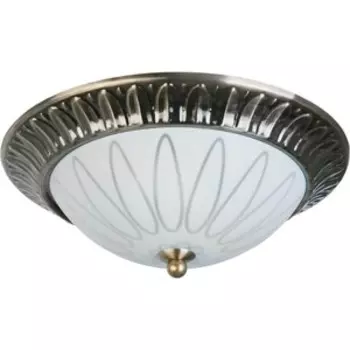 Потолочный светильник Toplight TL5050Y-02AB