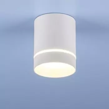 Потолочный светодиодный светильник Elektrostandard 4690389102981