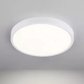 Потолочный светодиодный светильник Elektrostandard 4690389134616