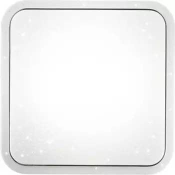 Потолочный светодиодный светильник с пультом Sonex 2014/E