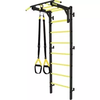 Профессиональная шведская стенка Kampfer Fort Professional Plus черный/желтый