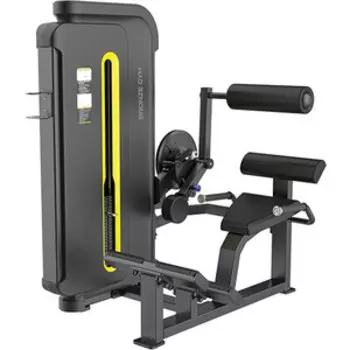 Разгибание спины Bronze Gym BW-3031