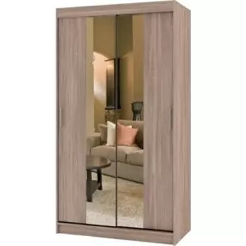 Шкаф купе БАРОНС ГРУПП РИФ-2 зеркало вариант 4 250x130х60