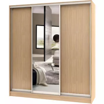 Шкаф-купе БАРОНС ГРУПП Стандарт комбо 3.2 250x240x60