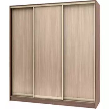 Шкаф-купе БАРОНС ГРУПП Стандарт ЛДСП 3 250x240x60