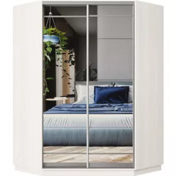 Шкаф-купе Классика 73 (каркас каттхульт, фасады 09/09 зеркало) профиль серебро 73.2400.1100.450.(09.09.).03.(00.00.).01