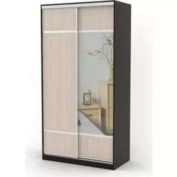 Шкаф-купе Шарм-Дизайн Комби 100х60 венге+вяз