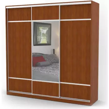 Шкаф-купе Шарм-Дизайн Комби 200х60 вишня академия