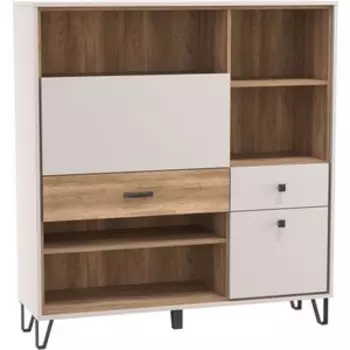 Шкаф многоцелевого назначения ОЛМЕКО 62.06 Рио (Кашемир / Дуб каньон) (ML876879422)