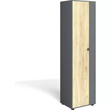 Шкаф в прихожую Бител Мини Лайт МЛ-2 дуб золотой крафт/серый графит (BTL10000449)