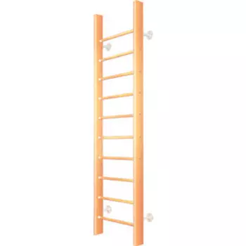 Шведская стенка Карусель 2Д.01.01-01 (2,6 х 0,65 м) Светлый