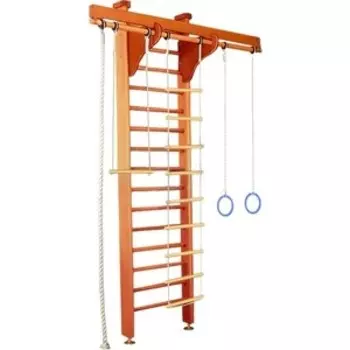 Шведская стенка Карусель 2Д.02.01 Орех