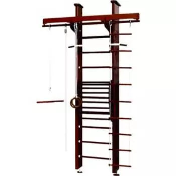 Шведская стенка Карусель 2Д.02.01 (с тренажером для осанки №2) Венге