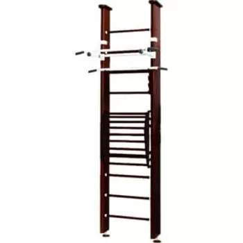 Шведская стенка Карусель 2Д.03.01 (с тренажером для осанки №2) Венге
