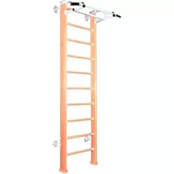 Шведская стенка Карусель 2Д.03.02 к стене Светлый