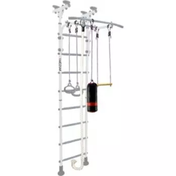 Шведская стенка Midzumi Hoshi Boxing снежный барс