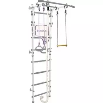 Шведская стенка Midzumi Sima Kabe снежный барс