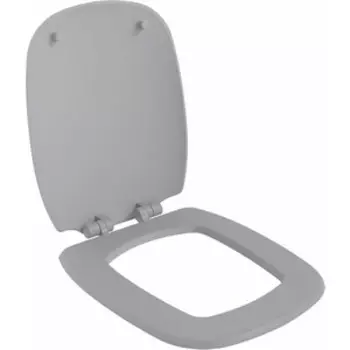 Сиденье для унитаза Ambassador Diamond с микролифтом, матовое серое (122T20301)